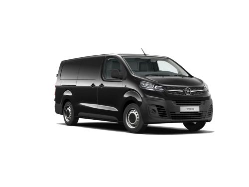 vivaro c.jpg