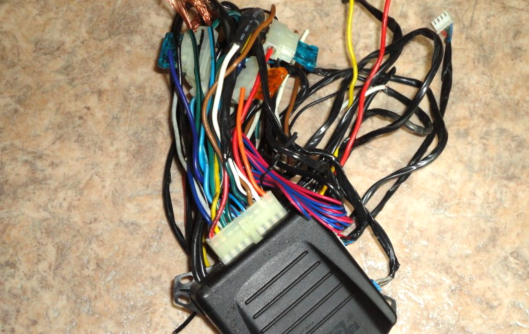 фото сигнализации аллигатор