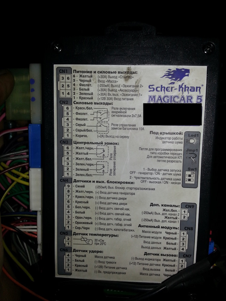 фото шархан 5