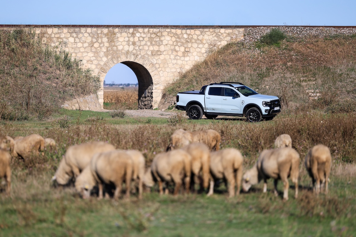 Ford Ranger PHEV - test